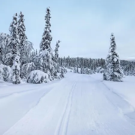 Tatil Evi In With Kitchen