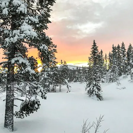 Tatil Evi In With Kitchen